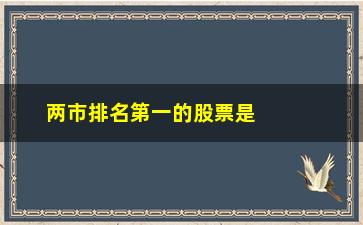 “两市排名第一的股票是什么(两市排名第一的股票)”/