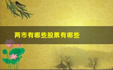 “两市有哪些股票有哪些(两市2元以下的股票有哪些)”/