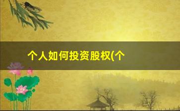 “个人如何投资股权(个人如何投资股权基金)”/