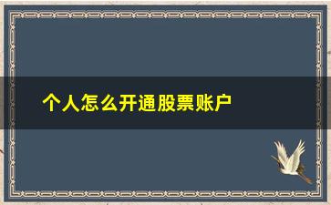 “个人怎么开通股票账户(个人怎么开通股票账户交易)”/