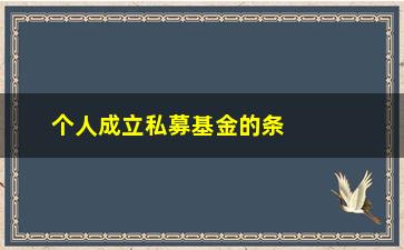 “个人成立私募基金的条件(成立一个私募基金需要什么条件)”/