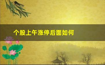 “个股上午涨停后面如何(开盘啦涨停原因个股后面的数字)”/