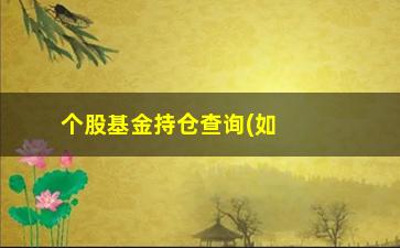 “个股基金持仓查询(如何查询基金持仓)”/