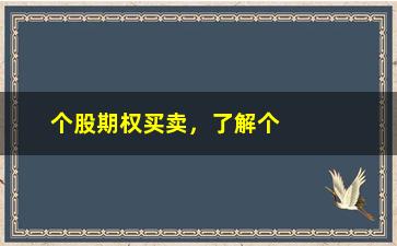 “个股期权买卖，了解个股期权的交易方式和风险控制”/