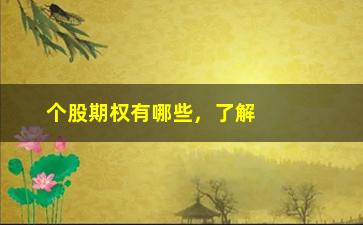 “个股期权有哪些，了解个股期权的种类和特点”/