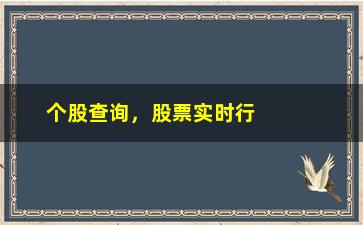 “个股查询，股票实时行情查询方法”/