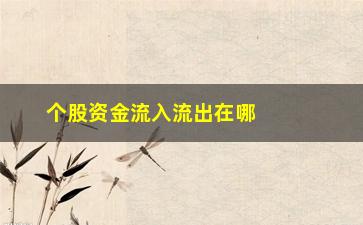 “个股资金流入流出在哪里看，教你如何查看个股资金流向”/