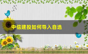 “中信建投如何导入自选股(中信建投证券云端自选股同步)”/