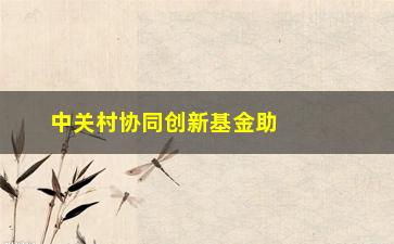 “中关村协同创新基金助力中国科技创新发展的关键力量”/