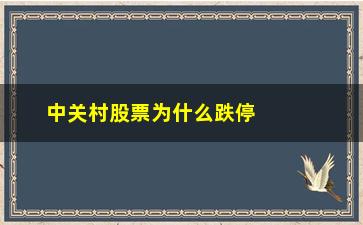 “中关村股票为什么跌停(股票为什么差1分不跌停)”/