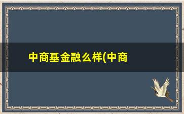 “中商基金融么样(中商基金融最新情况)”/