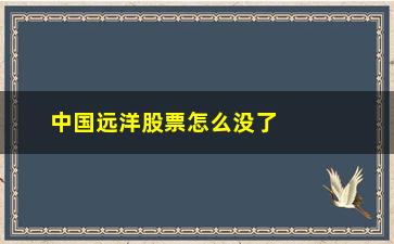 “中国远洋股票怎么没了(中国远洋股票601866)”/