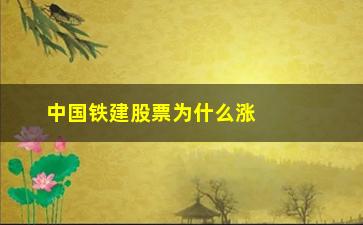 “中国铁建股票为什么涨不了(中国铁建股票会涨吗)”/