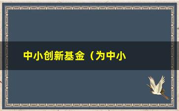 “中小创新基金（为中小企业提供创新资金支持）”/