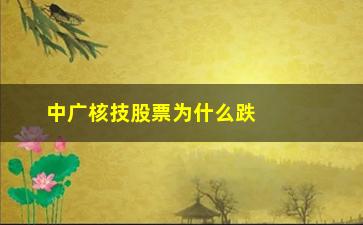 “中广核技股票为什么跌(中广核技股票最新消息)”/