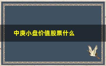 “中庚小盘价值股票什么时候开始建仓”/