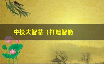 “中投大智慧（打造智能投资新时代）”/