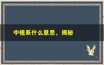 “中植系什么意思，揭秘中植系的背景和业务范围”/