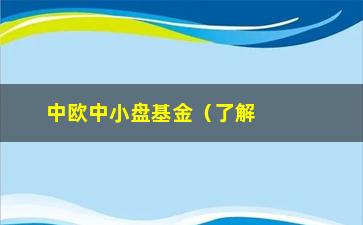 “中欧中小盘基金（了解中欧中小盘基金的投资优势）”/