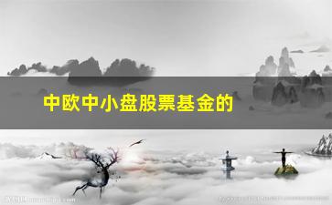 “中欧中小盘股票基金的投资步骤及回报预期”/