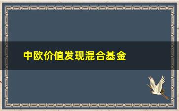 “中欧价值发现混合基金(166005中欧价值发现混合基金)”/