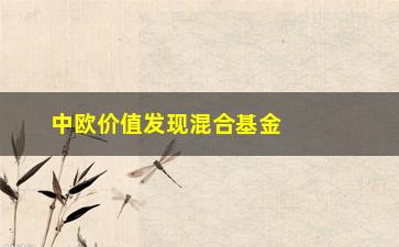 “中欧价值发现混合基金，你需要了解的三个关键点”/