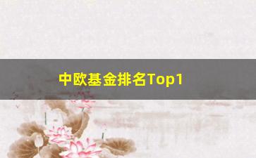 “中欧基金排名Top10公布，你的投资是否在其中？”/