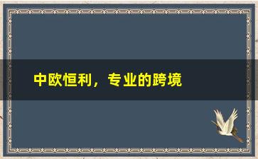 “中欧恒利，专业的跨境电商服务提供商”/