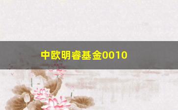 “中欧明睿基金001000，值得投资吗？（详细分析该基金的投资前景）”/