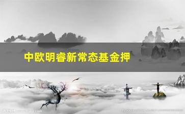 “中欧明睿新常态基金押宝新兴产业，打造高收益投资组合”/