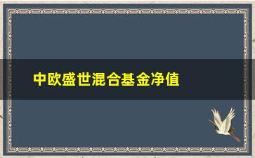 “中欧盛世混合基金净值（最新净值及投资建议）”/