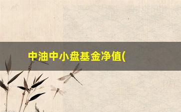 “中油中小盘基金净值(上投中小盘基金净值查询)”/