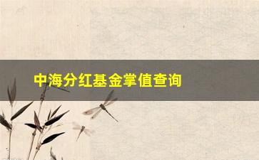 “中海分红基金掌值查询(中海优质成长基金净值)”/