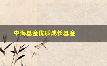 “中海基金优质成长基金净值查询(中海基金优质成长基金净值查询大成积极)”/