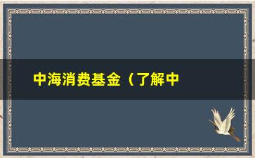 “中海消费基金（了解中海消费基金的投资优势和风险控制）”/