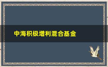 “中海积极增利混合基金(中海积极增利混合基金怎么样)”/