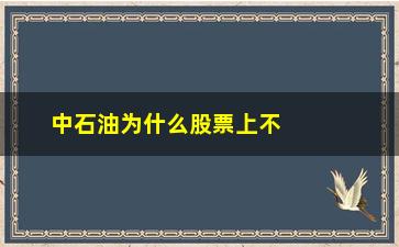 “中石油为什么股票上不去(中石油股票为什么涨)”/