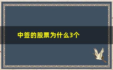 “中签的股票为什么3个月才上市(为什么总不中签股票)”/