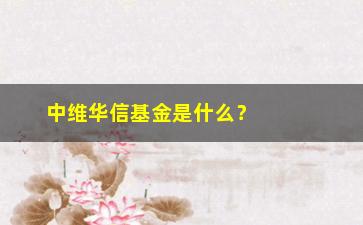 “中维华信基金是什么？（详细介绍这个备受关注的投资品牌）”/