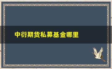 “中衍期货私募基金哪里看(私募衍复中证1000指数)”/