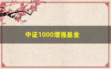 “中证1000增强基金(中证1000指数增强基金有哪些)”/