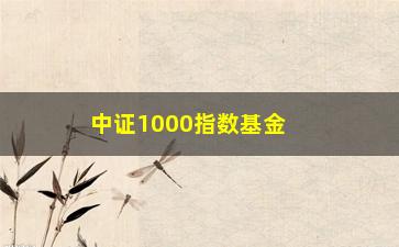 “中证1000指数基金怎么买卖(什么是中证1000指数基金)”/