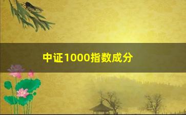 “中证1000指数成分股从哪里查(中证1000指数构成)”/