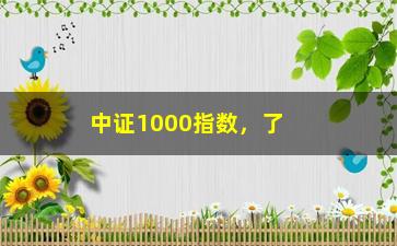 “中证1000指数，了解中证1000指数的基本概念和投资策略”/