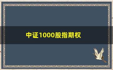 “中证1000股指期权合约，了解股市期权投资的基本知识”/