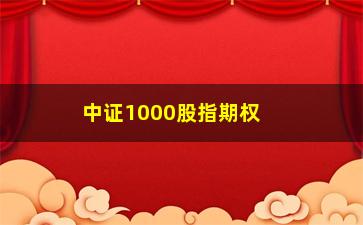 “中证1000股指期权在哪里交易(中证500指数期权交易规则)”/