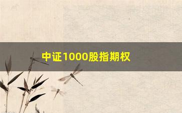 “中证1000股指期权怎么样(中证1000有股指期货吗)”/