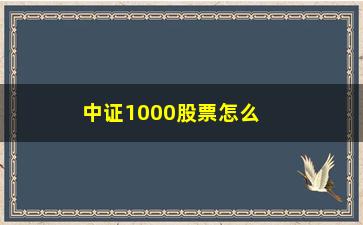 “中证1000股票怎么找(最新中证100股票名单)”/