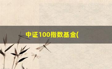 “中证100指数基金(中证300指数基金)”/