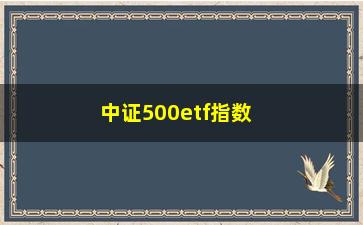 “中证500etf指数基金排名(中证500指数基金排名)”/